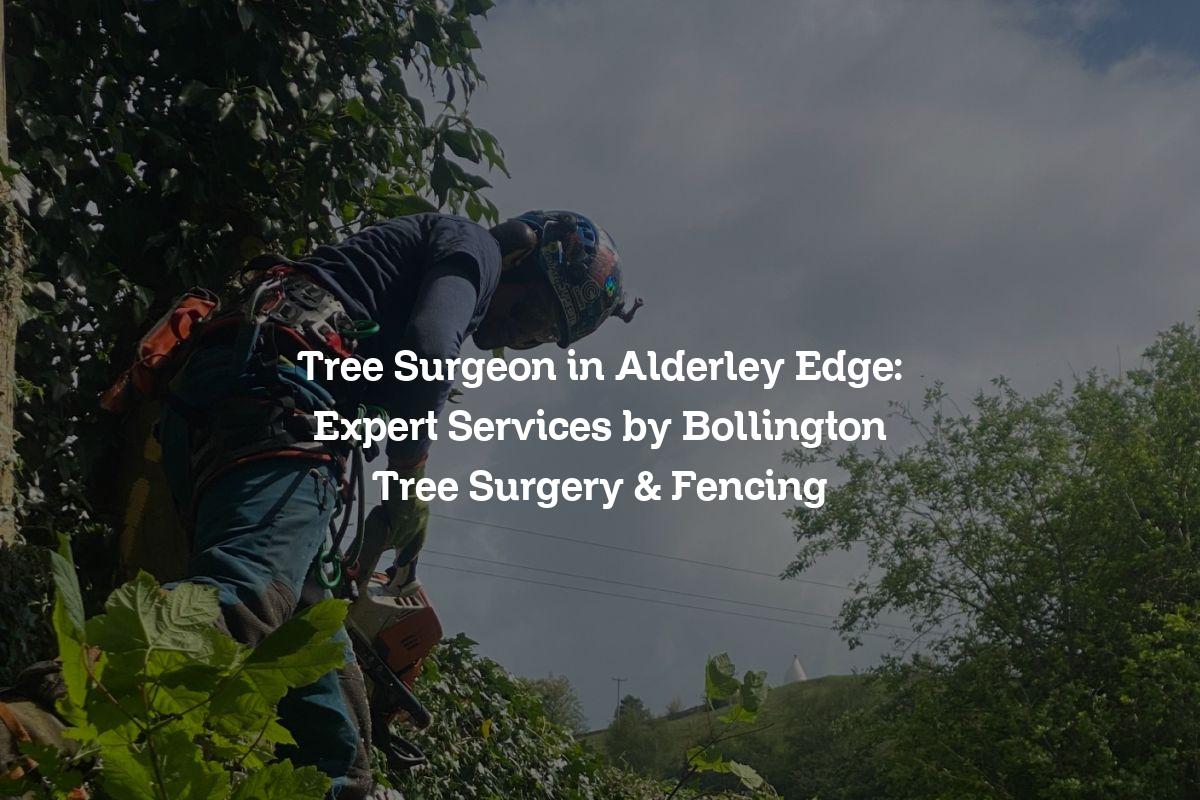 Tree Surgeon in Alderley Edge: Expert Services by Bollington Tree ...