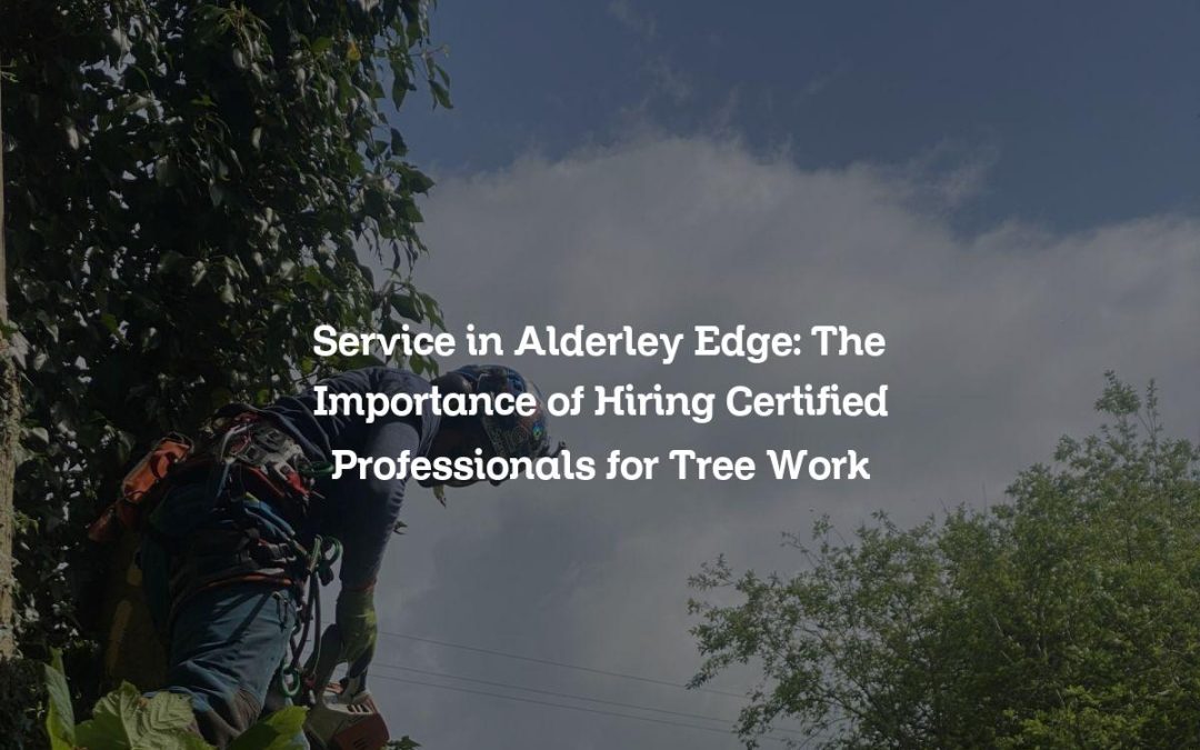 Service in Alderley Edge: The Importance of Hiring Certified Professionals for Tree Work