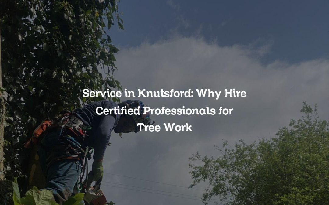 Service in Knutsford: Why Hire Certified Professionals for Tree Work