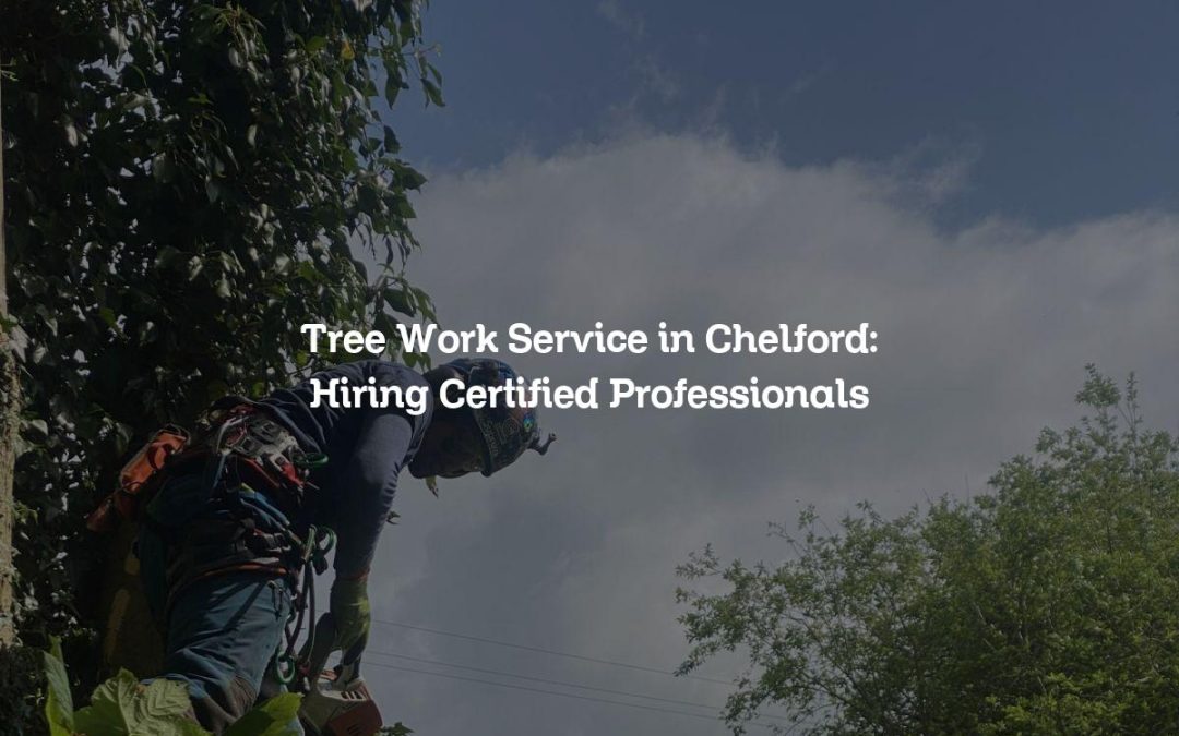 Tree Work Service in Chelford: Hiring Certified Professionals