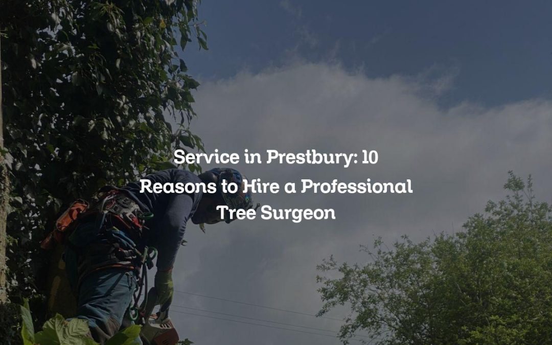 Service in Prestbury: 10 Reasons to Hire a Professional Tree Surgeon
