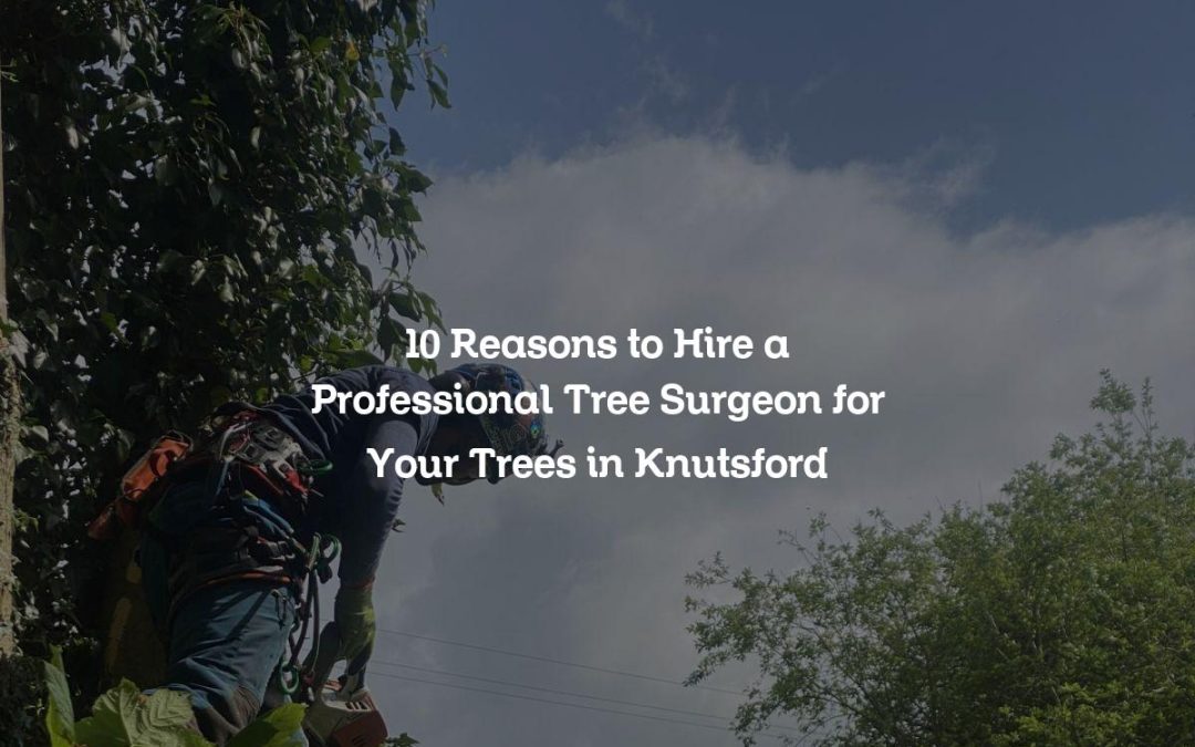 10 Reasons to Hire a Professional Tree Surgeon for Your Trees in Knutsford