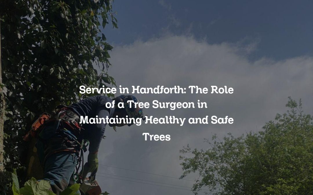 Service in Handforth: The Role of a Tree Surgeon in Maintaining Healthy and Safe Trees
