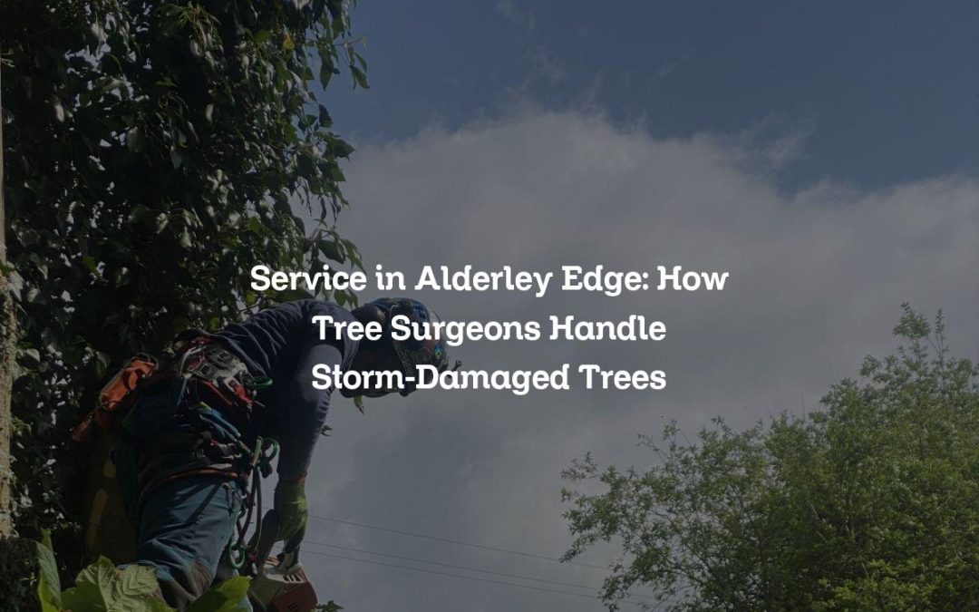 Service in Alderley Edge: How Tree Surgeons Handle Storm-Damaged Trees