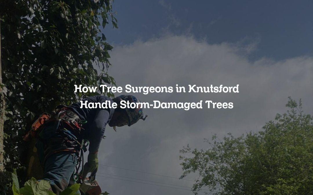 How Tree Surgeons in Knutsford Handle Storm-Damaged Trees