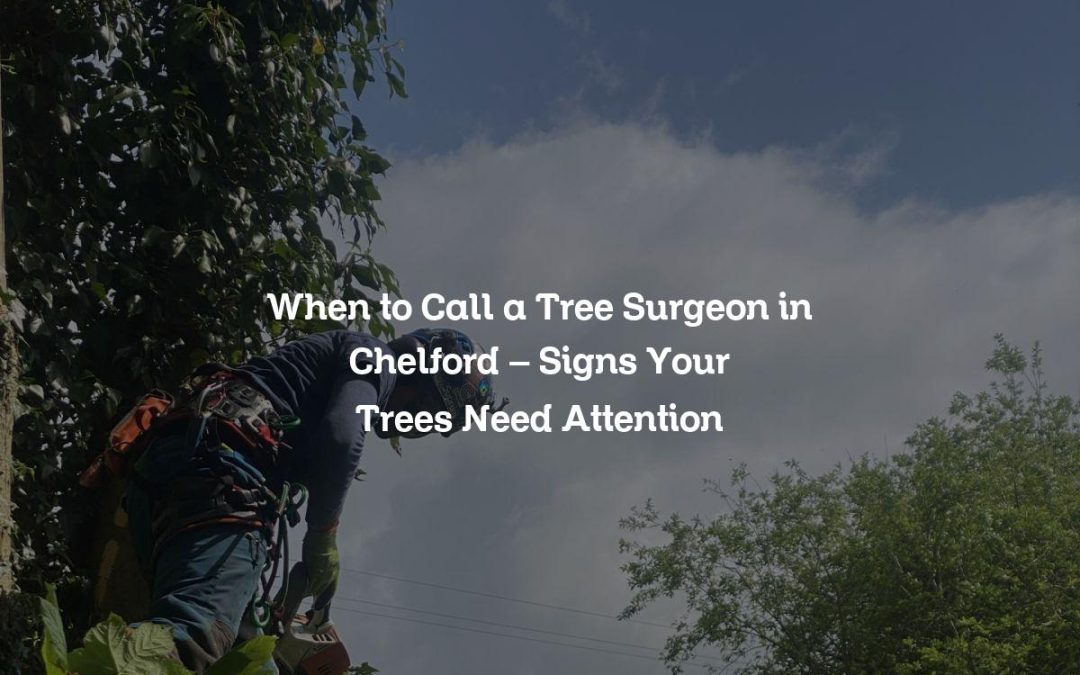 When to Call a Tree Surgeon in Chelford – Signs Your Trees Need Attention