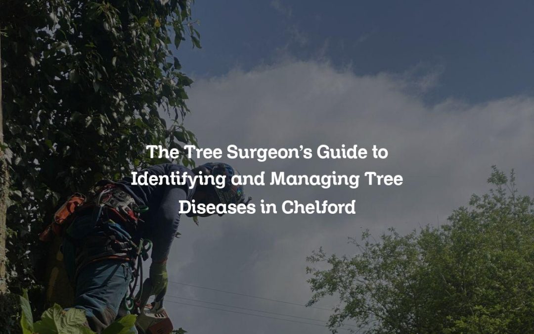 The Tree Surgeon’s Guide to Identifying and Managing Tree Diseases in Chelford