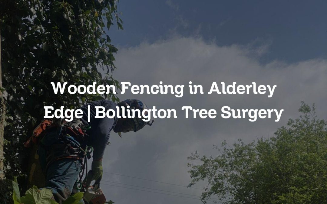 Wooden Fencing in Alderley Edge | Bollington Tree Surgery