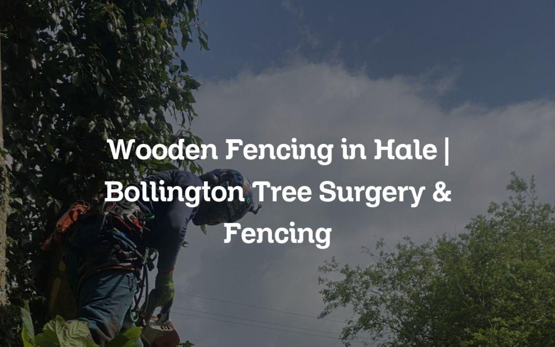 Wooden Fencing in Hale | Bollington Tree Surgery & Fencing