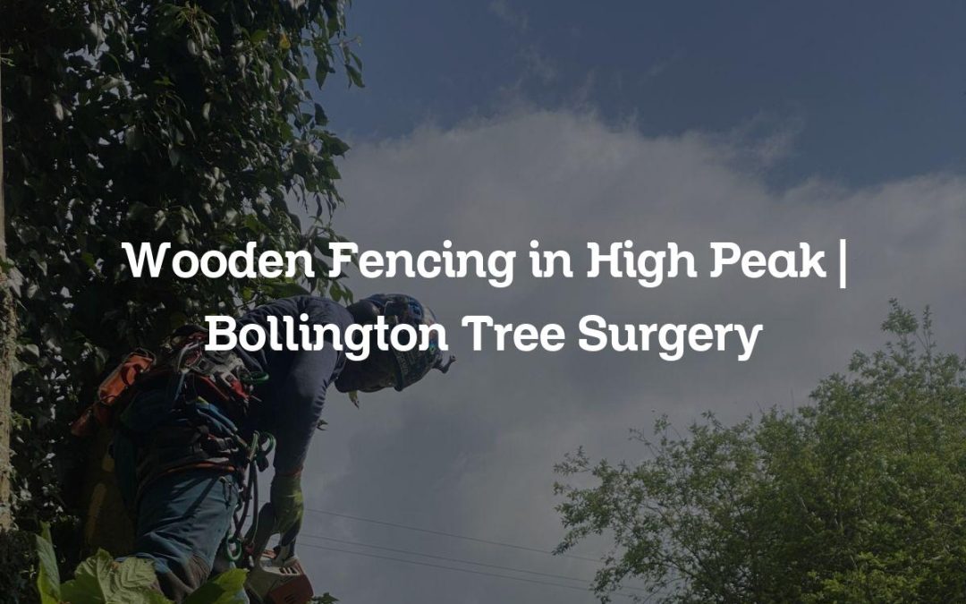 Wooden Fencing in High Peak | Bollington Tree Surgery