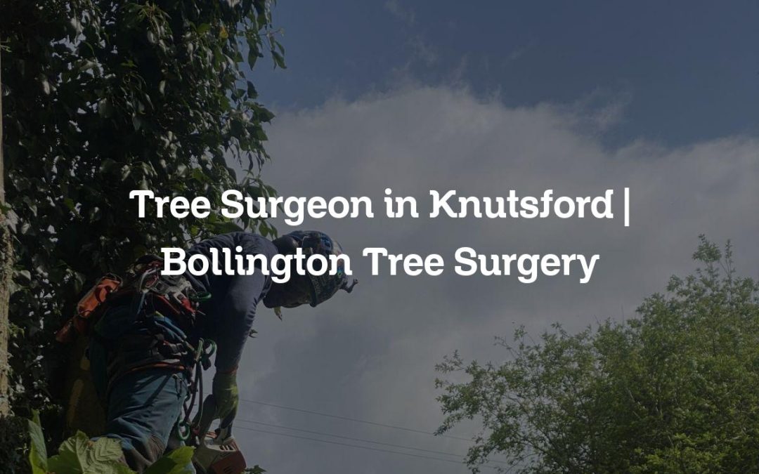 Tree Surgeon in Knutsford | Bollington Tree Surgery