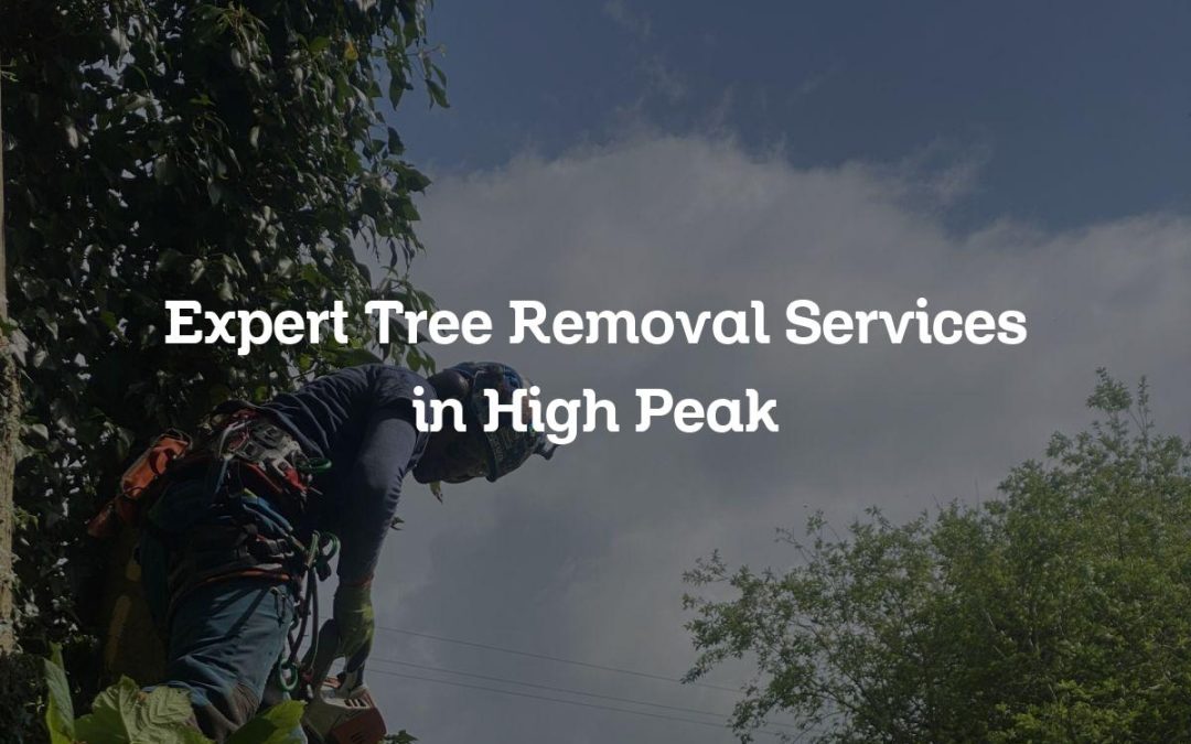 Expert Tree Removal Services in High Peak