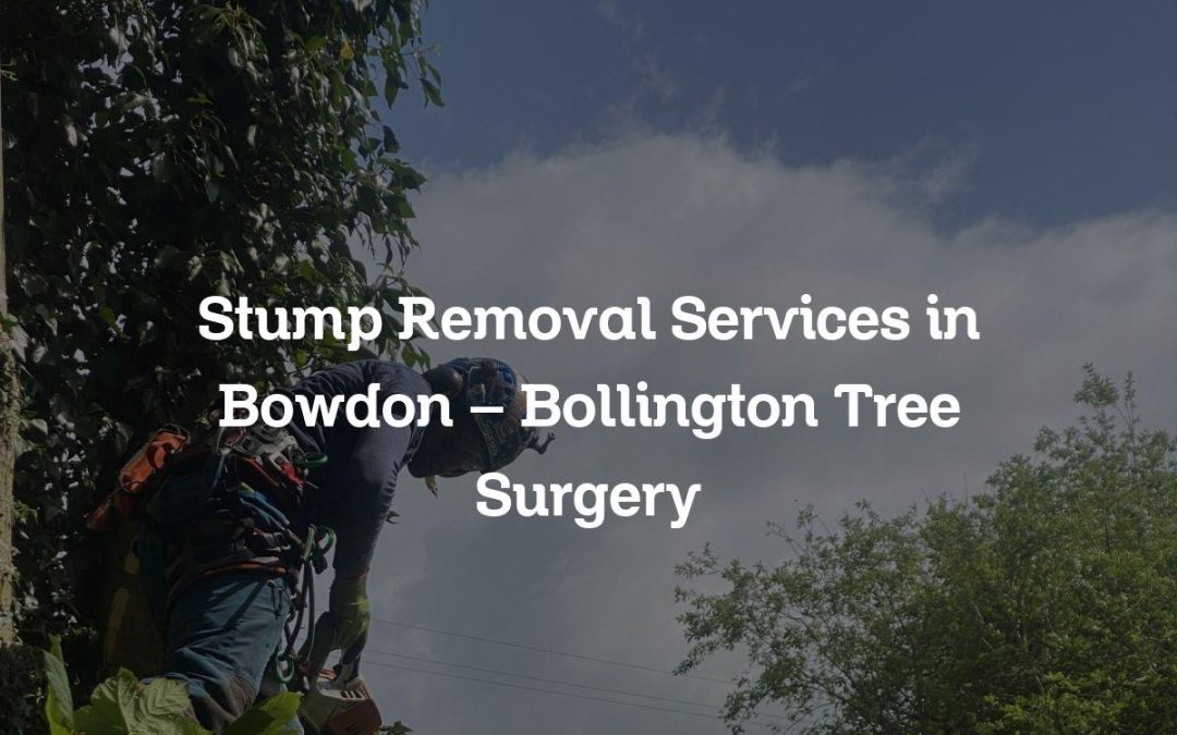 Stump Removal Services in Bowdon – Bollington Tree Surgery