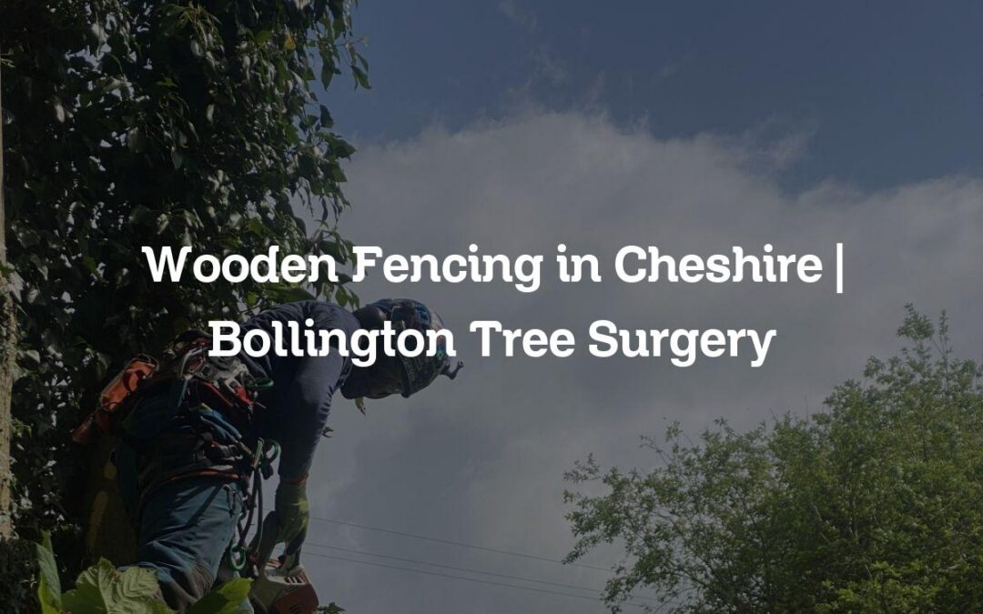 Wooden Fencing in Cheshire | Bollington Tree Surgery